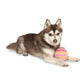 Easter Egg Plush Dog Toy - Pink