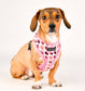 ARDEN DOG HARNESS OVER-THE-HEAD ADJUSTBALE CHECKERED