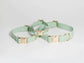 Pistachio Green Waterproof Dog Collar