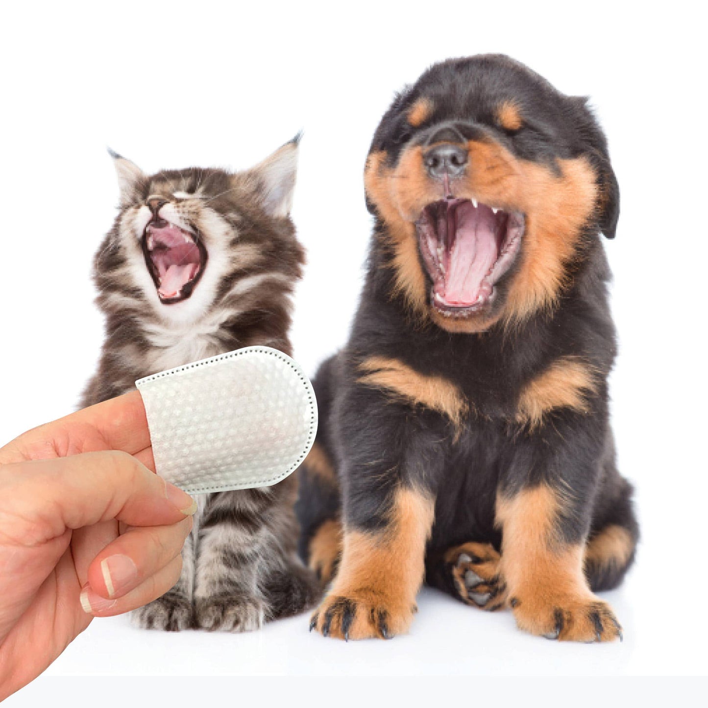 Dental Wipes for Cats and Dogs