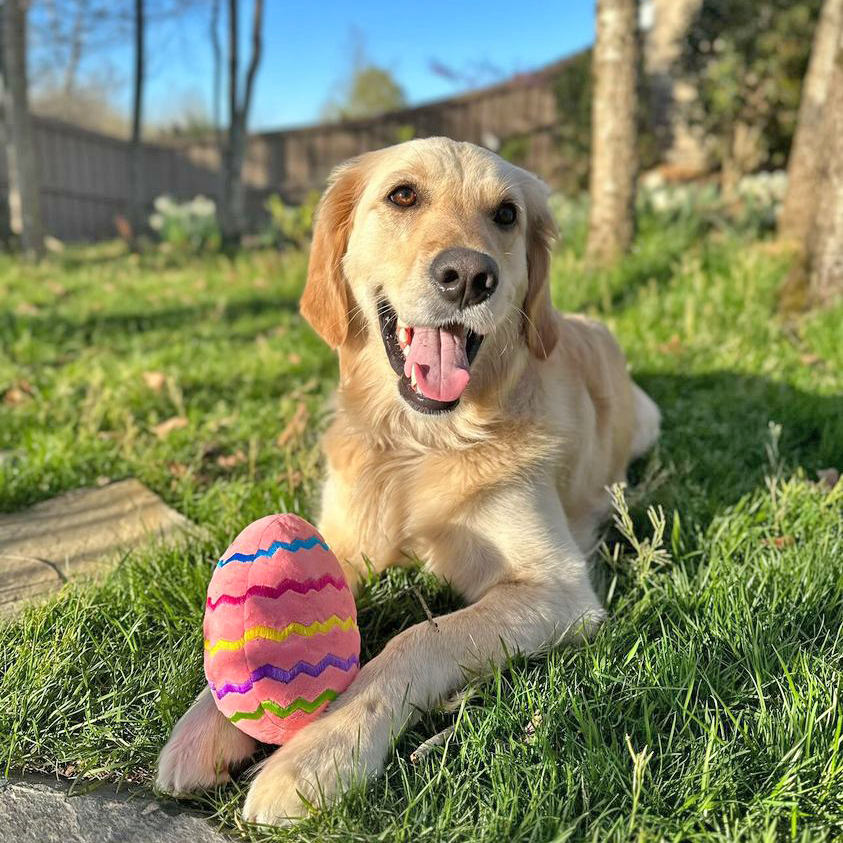 Easter Egg Plush Dog Toy - Pink