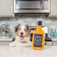 Bad Dog Jack's Whiskey For Dogs