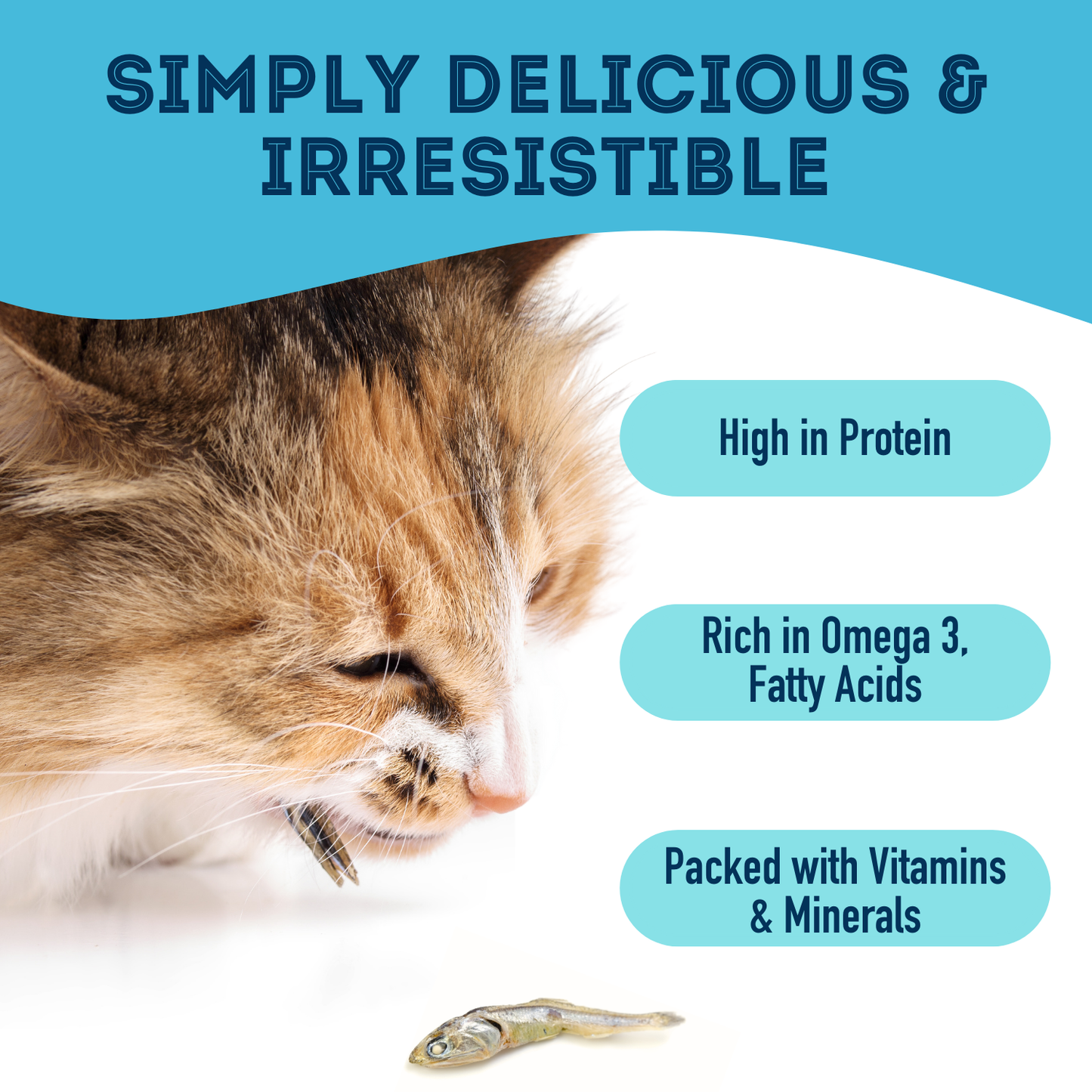 Dehydrated Protein Sardines Treat For Dogs & Cats 90g