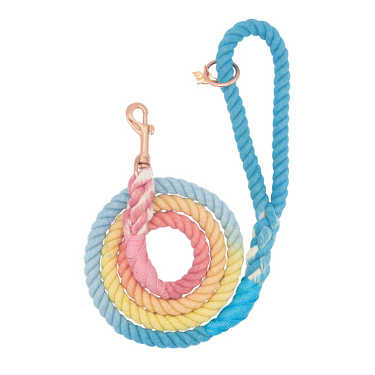 Dog Rope Leash - Bright