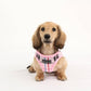 Junior Vest Dog Harness Checkered Pattern