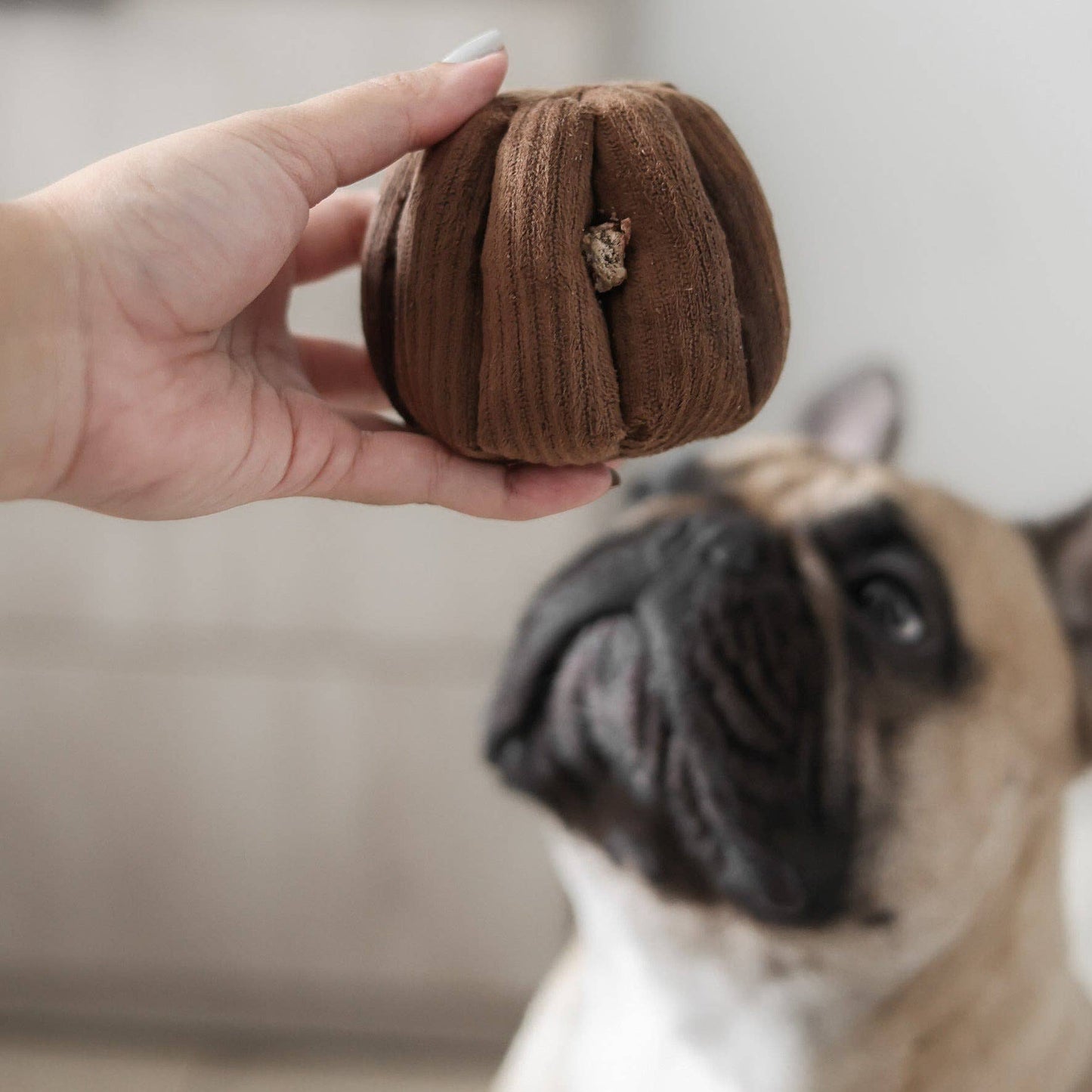 CANELE/ENRICHMENT DOG TOY