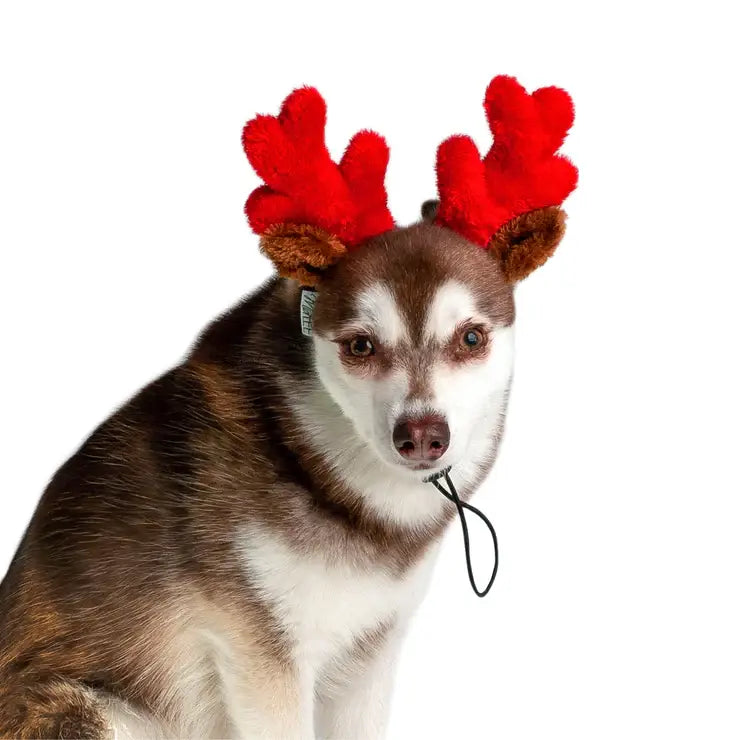 Midlee Christmas Reindeer Small Dog Antlers