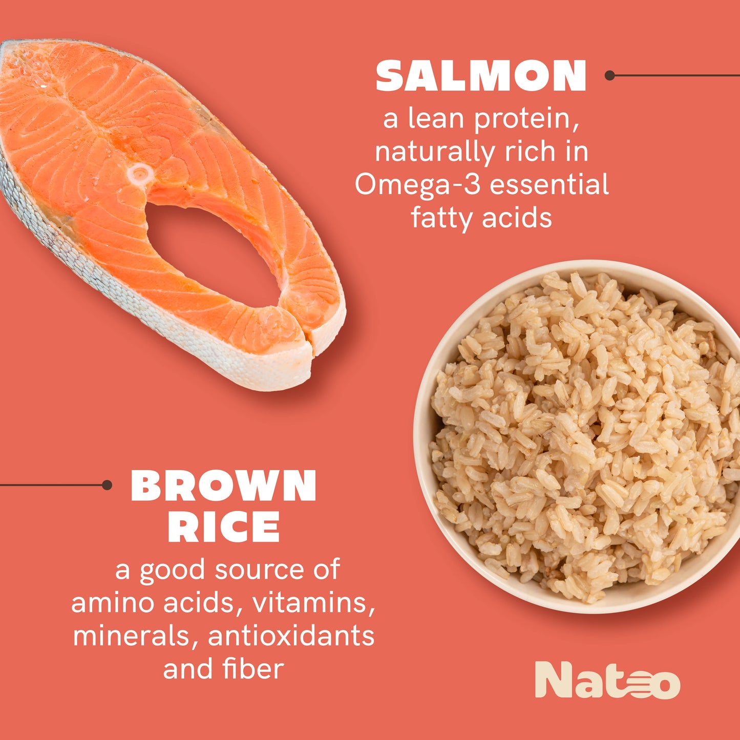 Natoo Topper for dogs - Salmon & Brown Rice