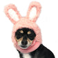 Bunny Hat