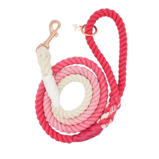 Dog Rope Leash - Ombre Pink