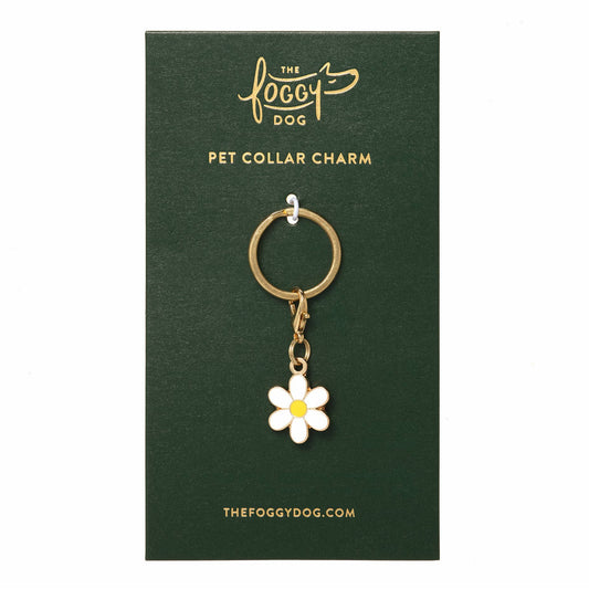 Daisy Collar Charm