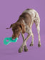 Yomp TugPup: Silicone Tug Toy for Dogs