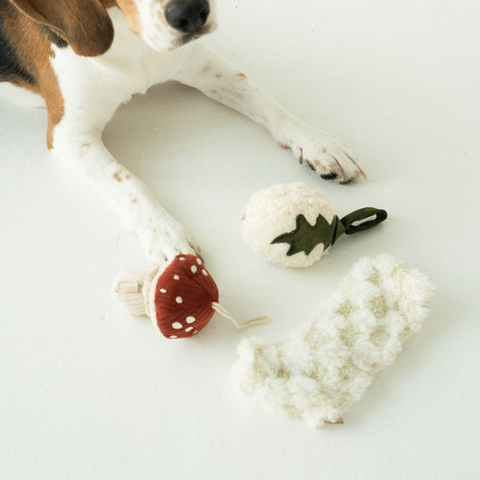 SMALL XMAS STOCKING//ENRICHMENT DOG TOY // HOLIDAY