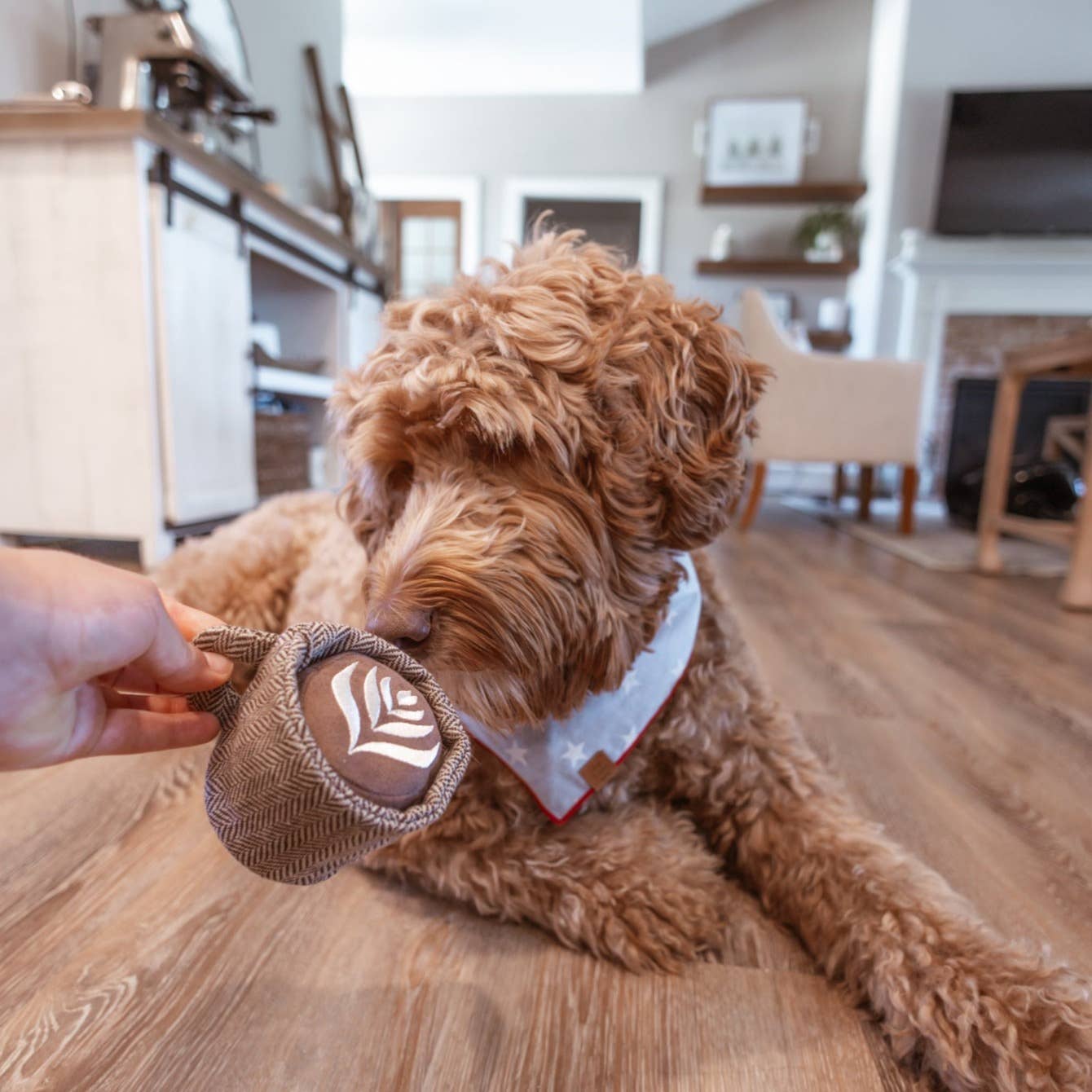 LATTE POP/ ENRICHMENT TOY SET// SNUFFLE TOY