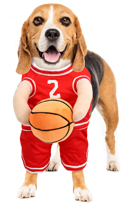 Pet Apparel - The Ball Hog