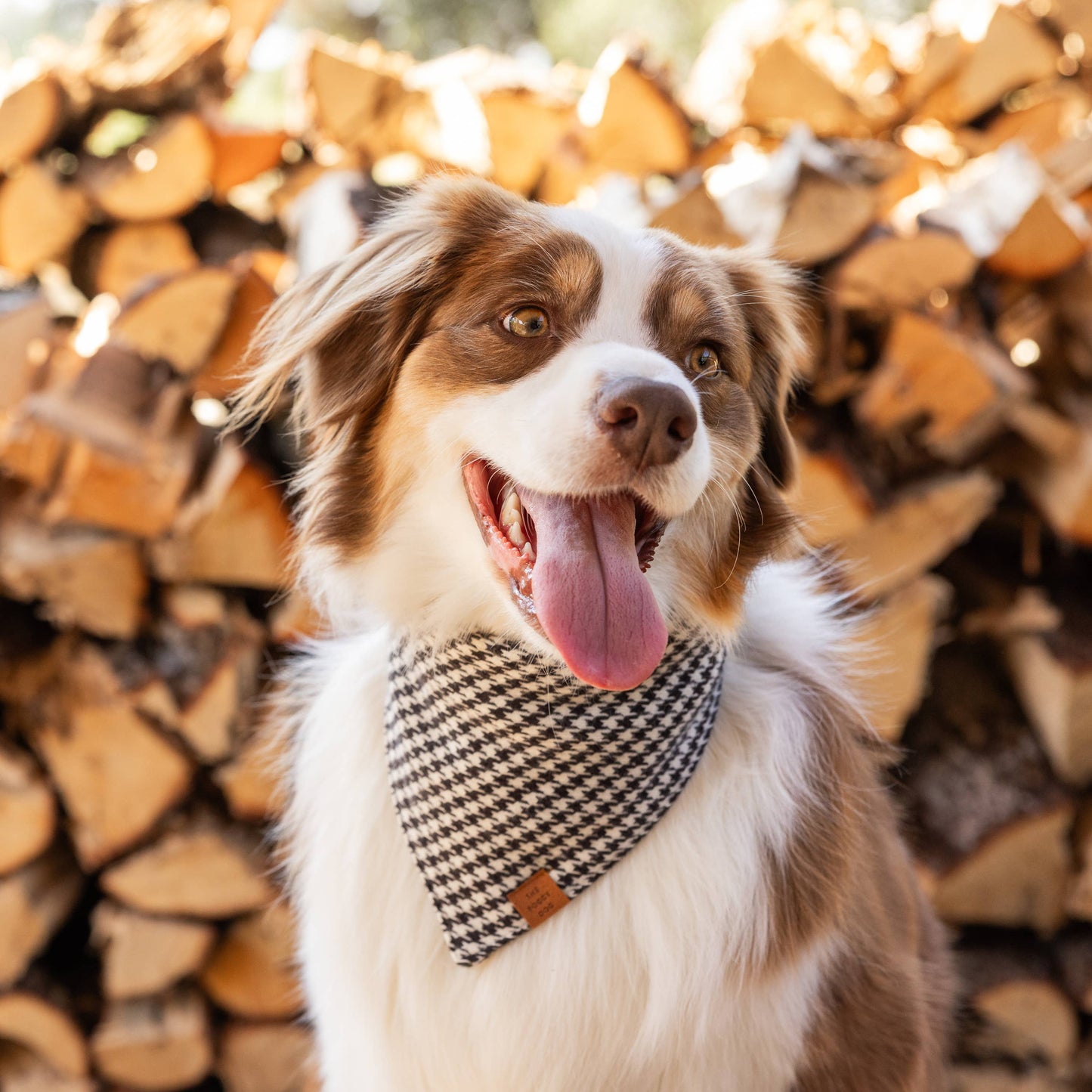 Houndstooth Flannel Fall Dog Bandana