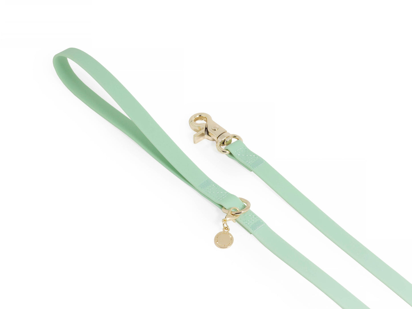 Pistachio Green Waterproof Cloud Dog Leash