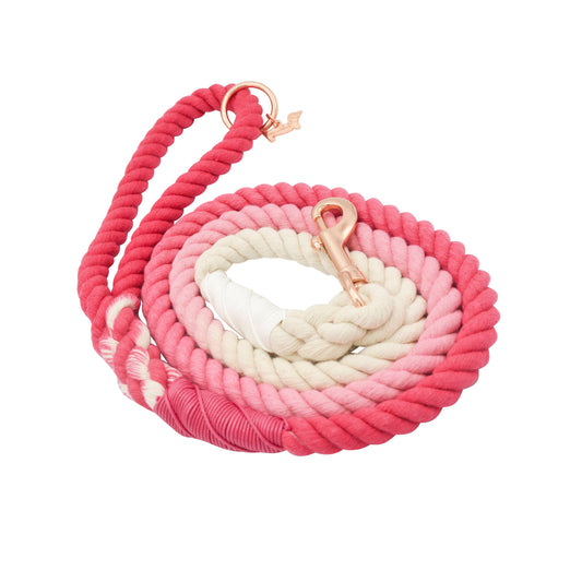 Dog Rope Leash - Ombre Pink