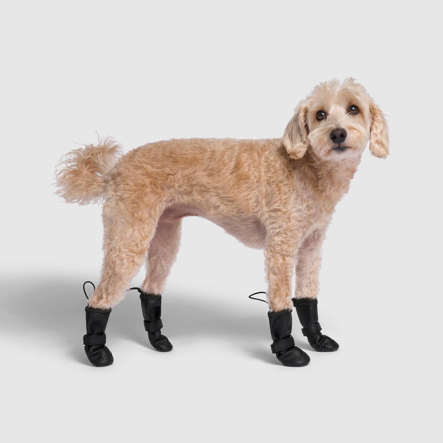 Waterproof Rain Boots- Dog Boots