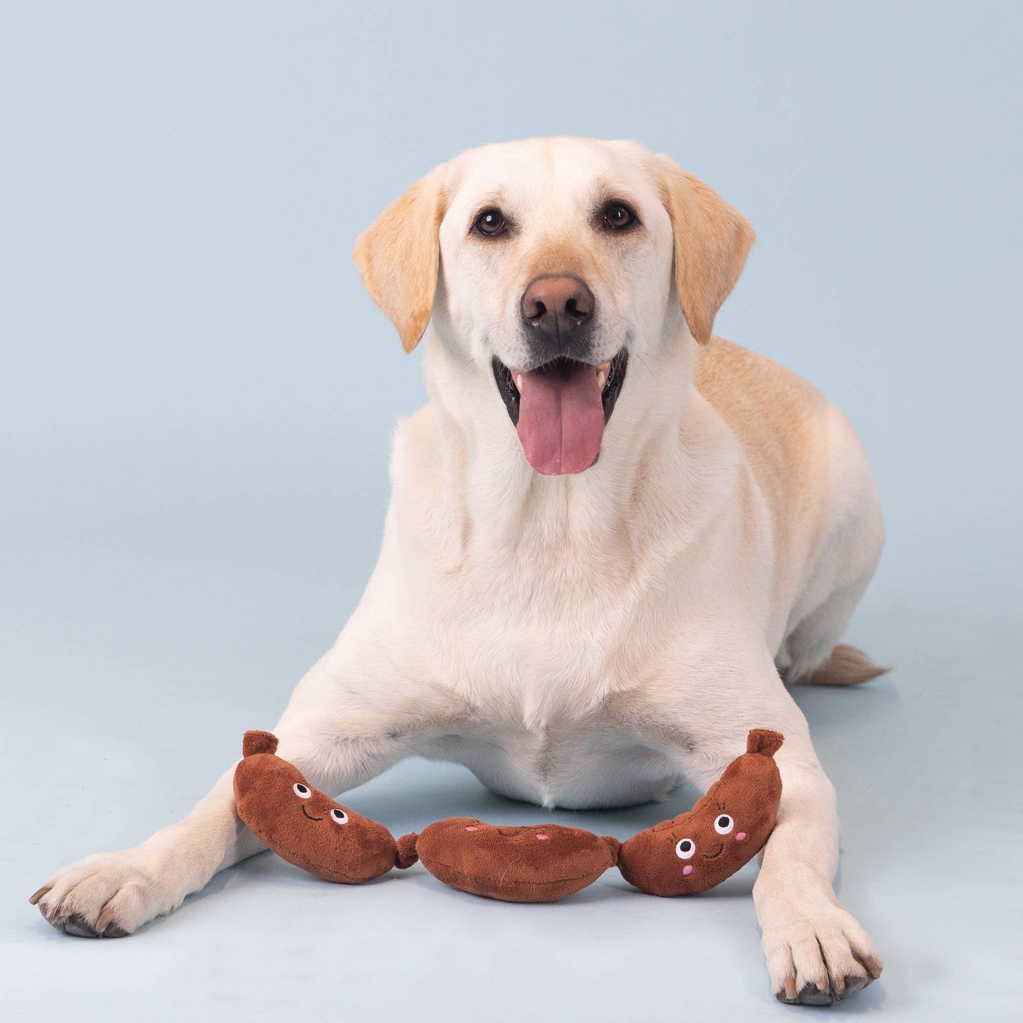 Making Ends Meat Plush Dog Toy