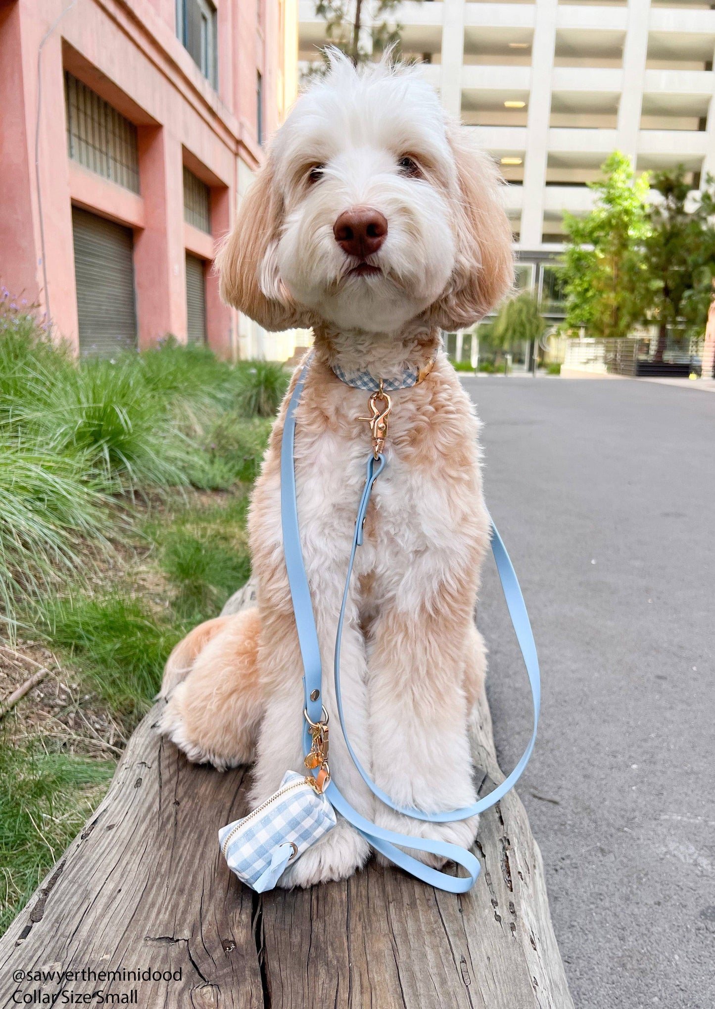 Dog Leash Waterproof - Blue, Lightweight,5 ft