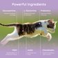 Cat Electrolyte and Joint Supplement | Salmon Lovers