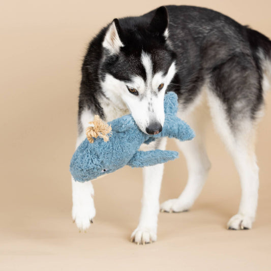 EARTH FRIENDLY DOG TOY OH WHALE