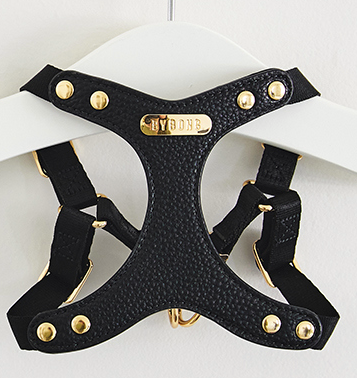 One Touch Leather Harness