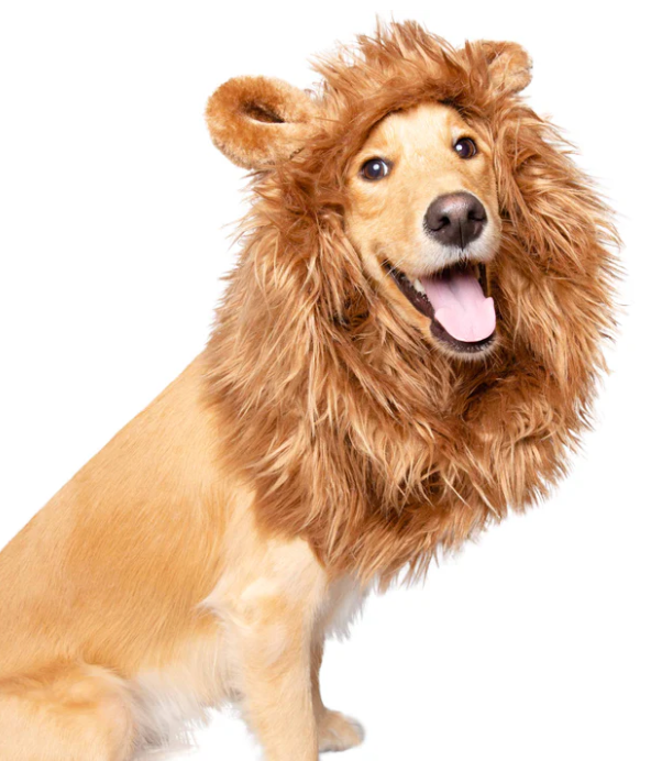 Lion Mane Dog Costume For Medium And Big Dogs