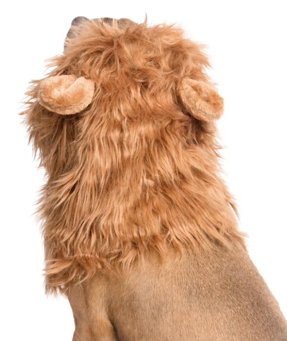 Lion Mane Dog Costume For Medium And Big Dogs