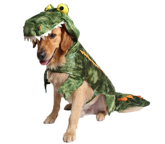 Alligator Costume