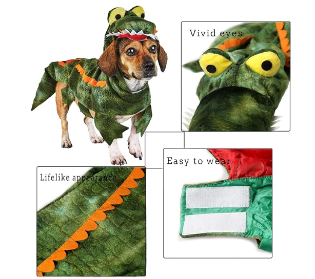 Alligator Costume