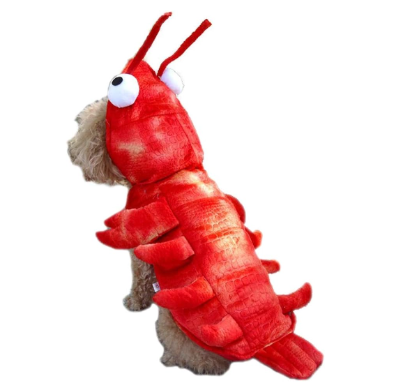 Lobster Costume