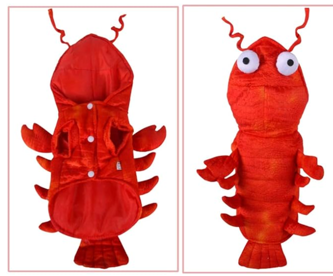 Lobster Costume