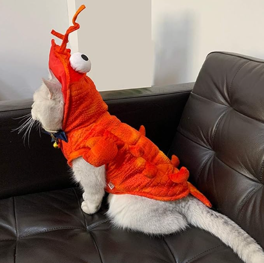 Lobster Costume