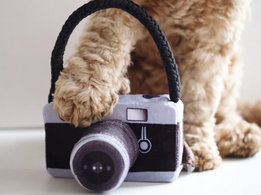 Camera Plush Toy