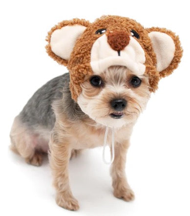 Teddy Bear Hat: L