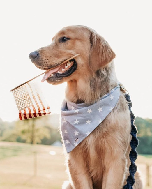 Macrame Dog Leash w/ Leather Handle - Navy Rope