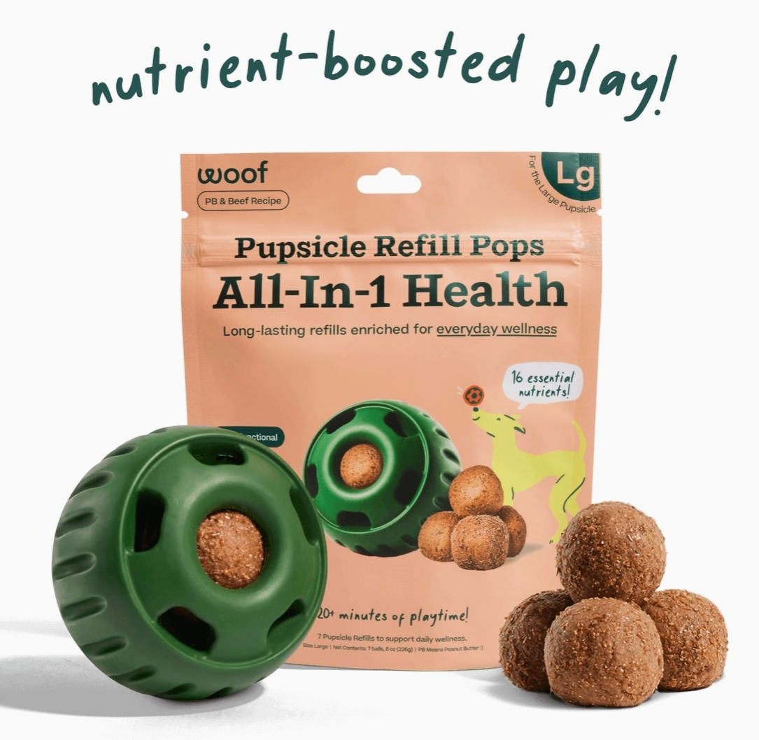 All-In-1 Health Pupsicle Refill Pops