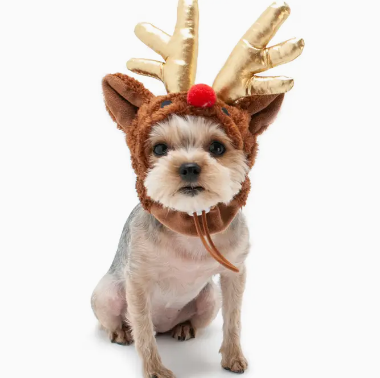 Rudolph Hat