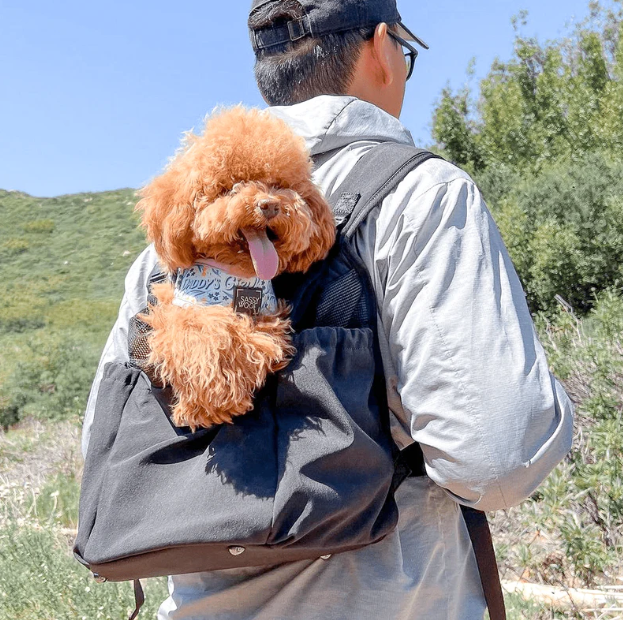 Let's Adventure Front & Back Carrier | Dog & Cat Carrier | Black