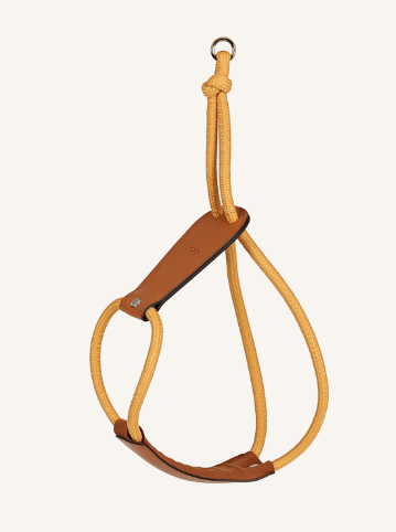 HOZI Essential Harness – Le Chien Bleu NY