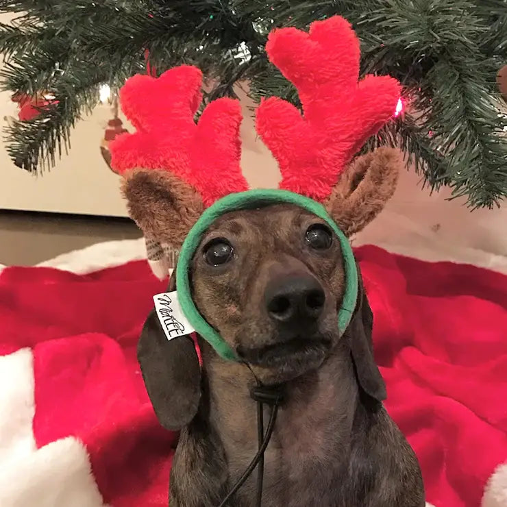 Midlee Christmas Reindeer Small Dog Antlers