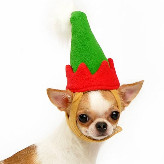 Elf Hat