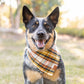 Cornucopia Flannel Fall Dog Bandana