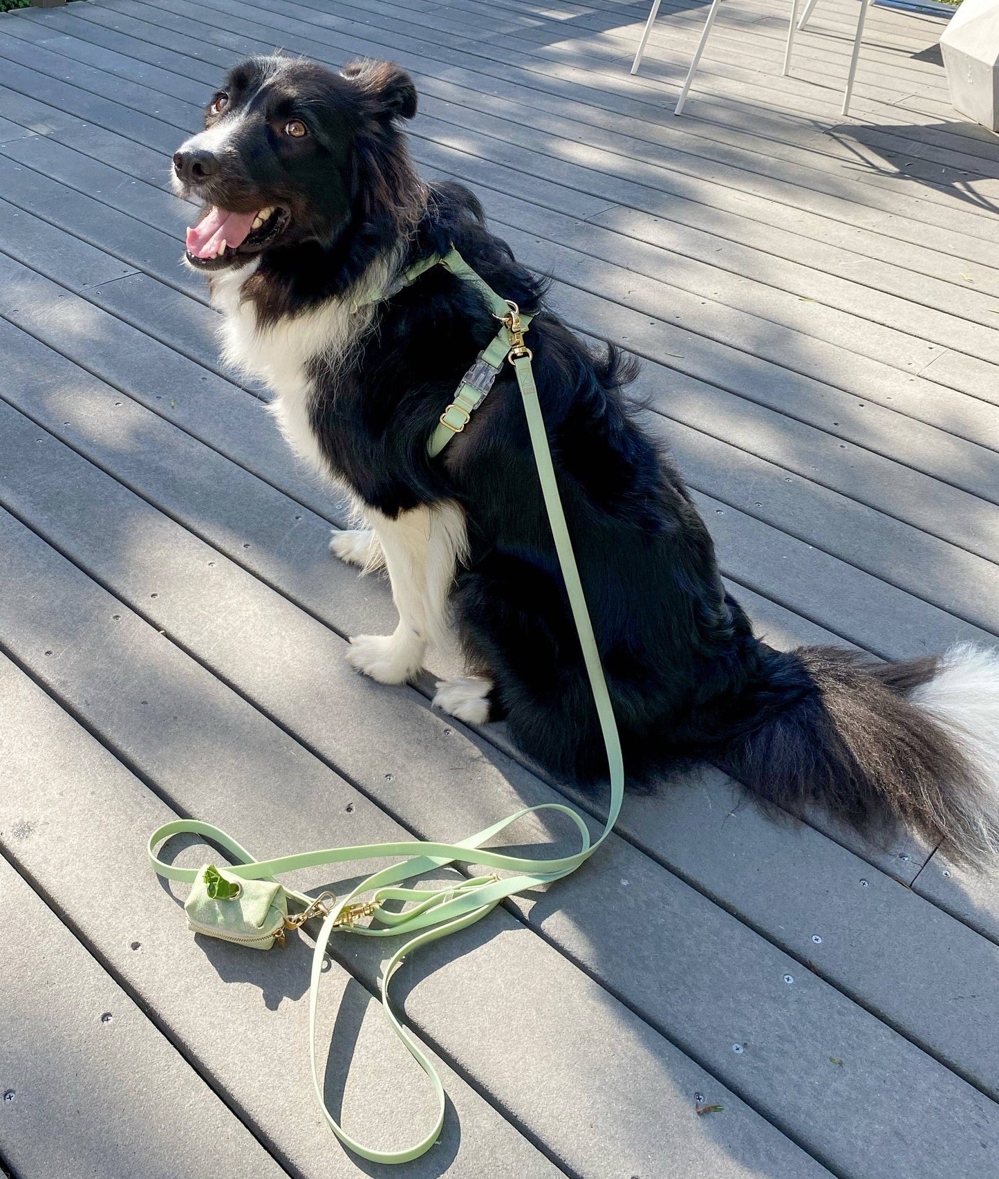 Pistachio Green Cloud Lite Dog Harness