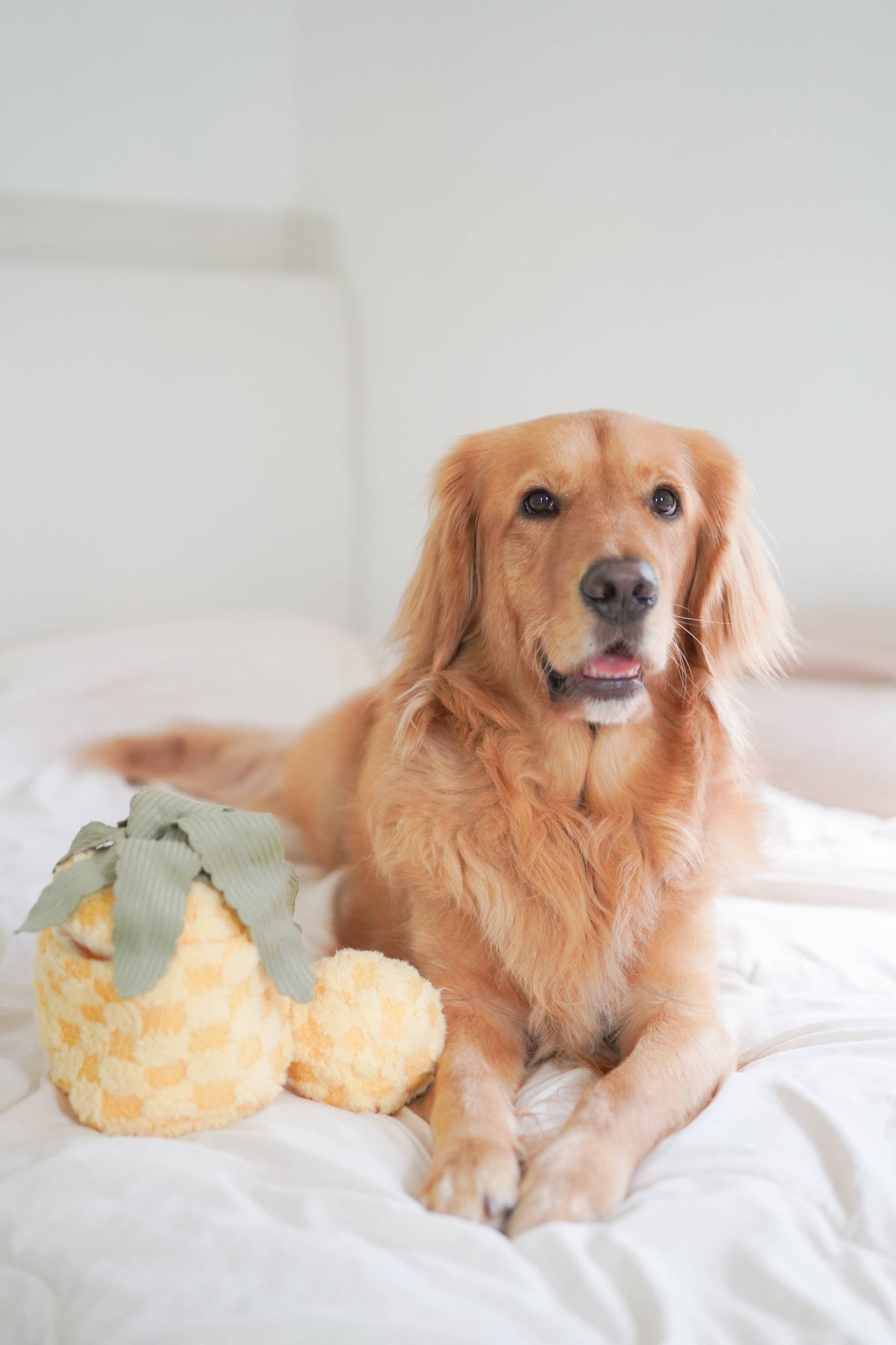 PINEAPPLE//ENRICHMENT DOG TOY