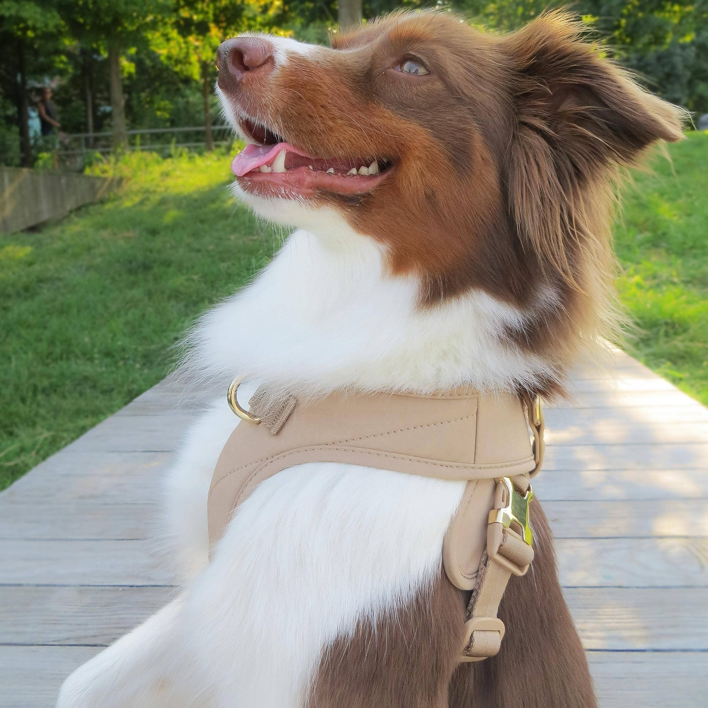 Roam Luxe Harness (Desert) | Dog Walking Gear | Dog Harness