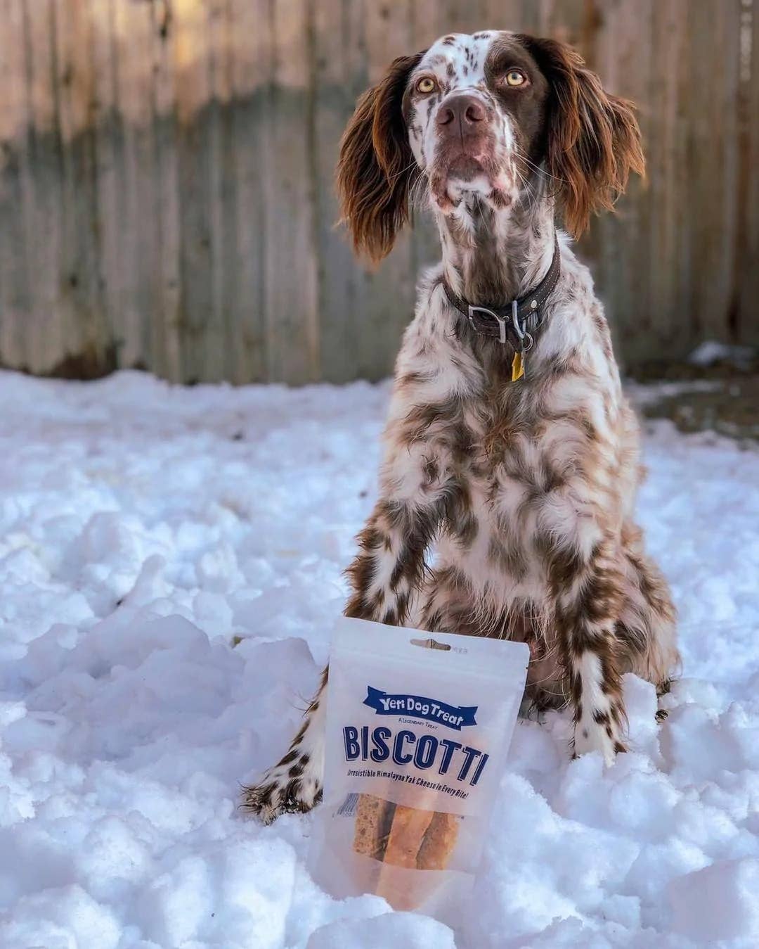 Yeti Dog Chew 4pc Doggy Biscotti Bag