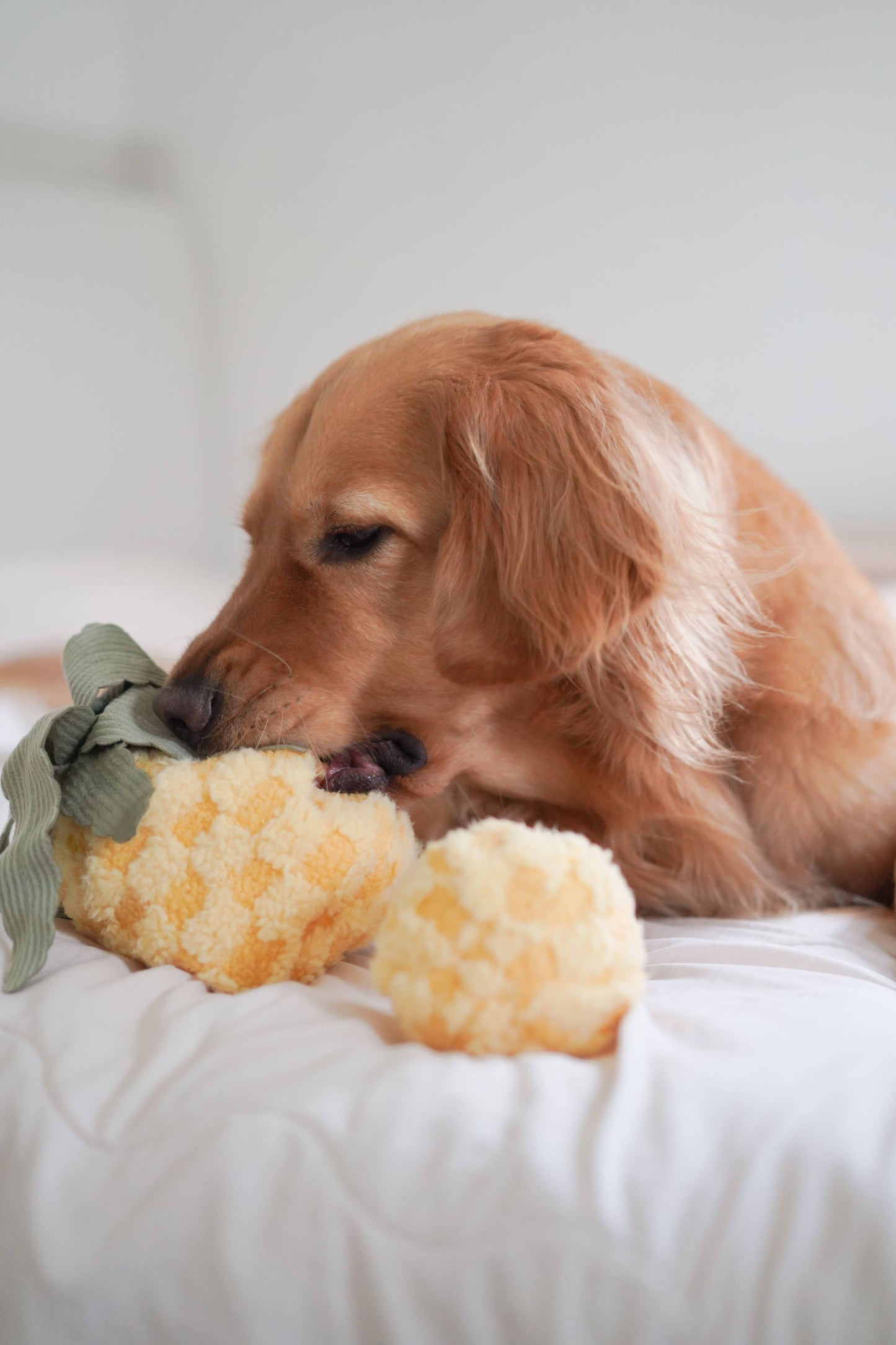 PINEAPPLE//ENRICHMENT DOG TOY